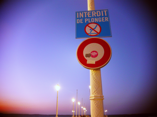 P1040864.JPG_effected